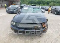 2005 Ford MUSTANG фото