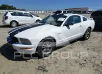 2005 Ford MUSTANG photo