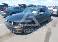 2005 Ford MUSTANG фото
