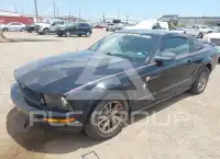 2005 Ford MUSTANG фото
