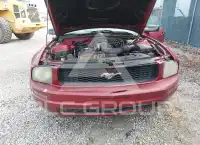 2005 Ford MUSTANG фото