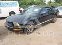 2005 Ford MUSTANG фото