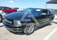 2005 Ford MUSTANG фото