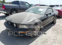 2005 Ford MUSTANG фото