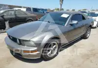 2005 Ford MUSTANG photo