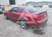 2005 Ford MUSTANG фото