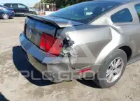 2005 Ford MUSTANG фото