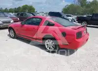 2005 Ford MUSTANG фото