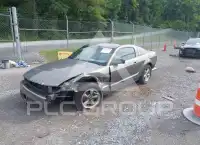 2005 Ford MUSTANG фото