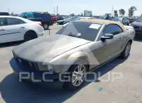 2005 Ford MUSTANG фото