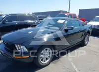 2005 Ford MUSTANG фото
