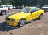 2005 Ford MUSTANG фото
