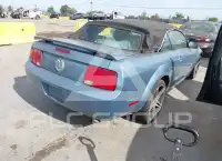 2005 Ford MUSTANG фото