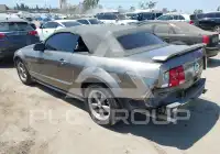 2005 Ford MUSTANG photo