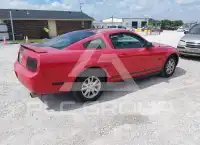2005 Ford MUSTANG фото