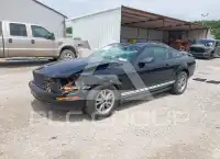 2005 Ford MUSTANG фото