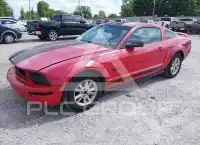 2005 Ford MUSTANG фото