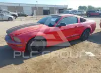 2005 Ford MUSTANG фото