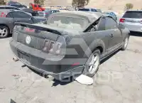 2005 Ford MUSTANG фото