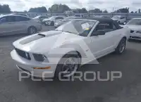 2005 Ford MUSTANG photo