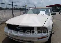 2005 Ford MUSTANG фото
