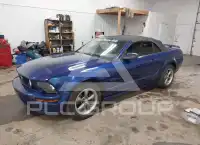 2005 Ford MUSTANG photo