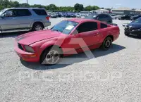 2005 Ford MUSTANG фото