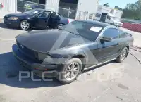 2005 Ford MUSTANG фото