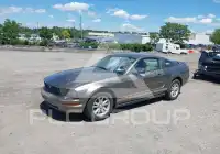 2005 Ford MUSTANG photo