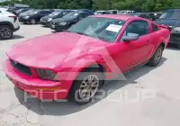 2005 Ford MUSTANG фото