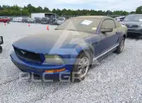 2005 Ford MUSTANG фото
