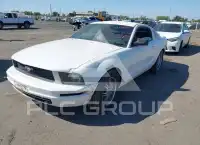 2005 Ford MUSTANG фото