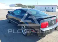 2005 Ford MUSTANG фото