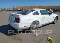 2005 Ford MUSTANG фото