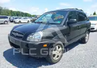 2005 Hyundai Tucson фото