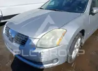 2006 Nissan MAXIMA фото