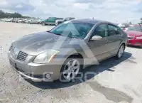 2006 Nissan MAXIMA photo