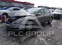 2006 Nissan MAXIMA photo