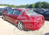 2006 Nissan MAXIMA photo