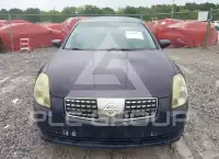 2006 Nissan MAXIMA photo