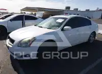 2006 Nissan MAXIMA фото