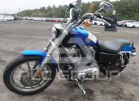 2006 Harley-Davidson XL883 photo