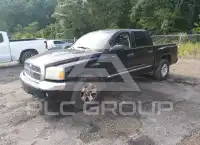 2006 Dodge DAKOTA фото