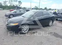 2006 Acura TSX фото