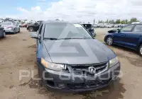 2006 Acura TSX фото