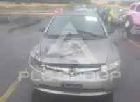 2006 Honda CIVIC фото