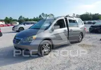 2006 Honda ODYSSEY фото