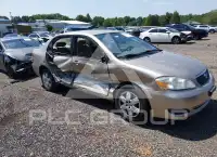 2006 Toyota COROLLA фото