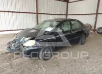 2006 Toyota COROLLA фото