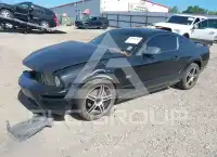 2006 Ford MUSTANG фото